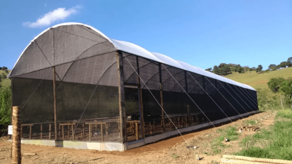saiba como prevenir danos em estufas agricolas 1